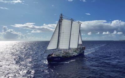 Preview der Arte-Doku “Frachtsegler erobern die Weltmeere”